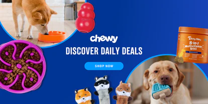 Champion Quality For Your Dog